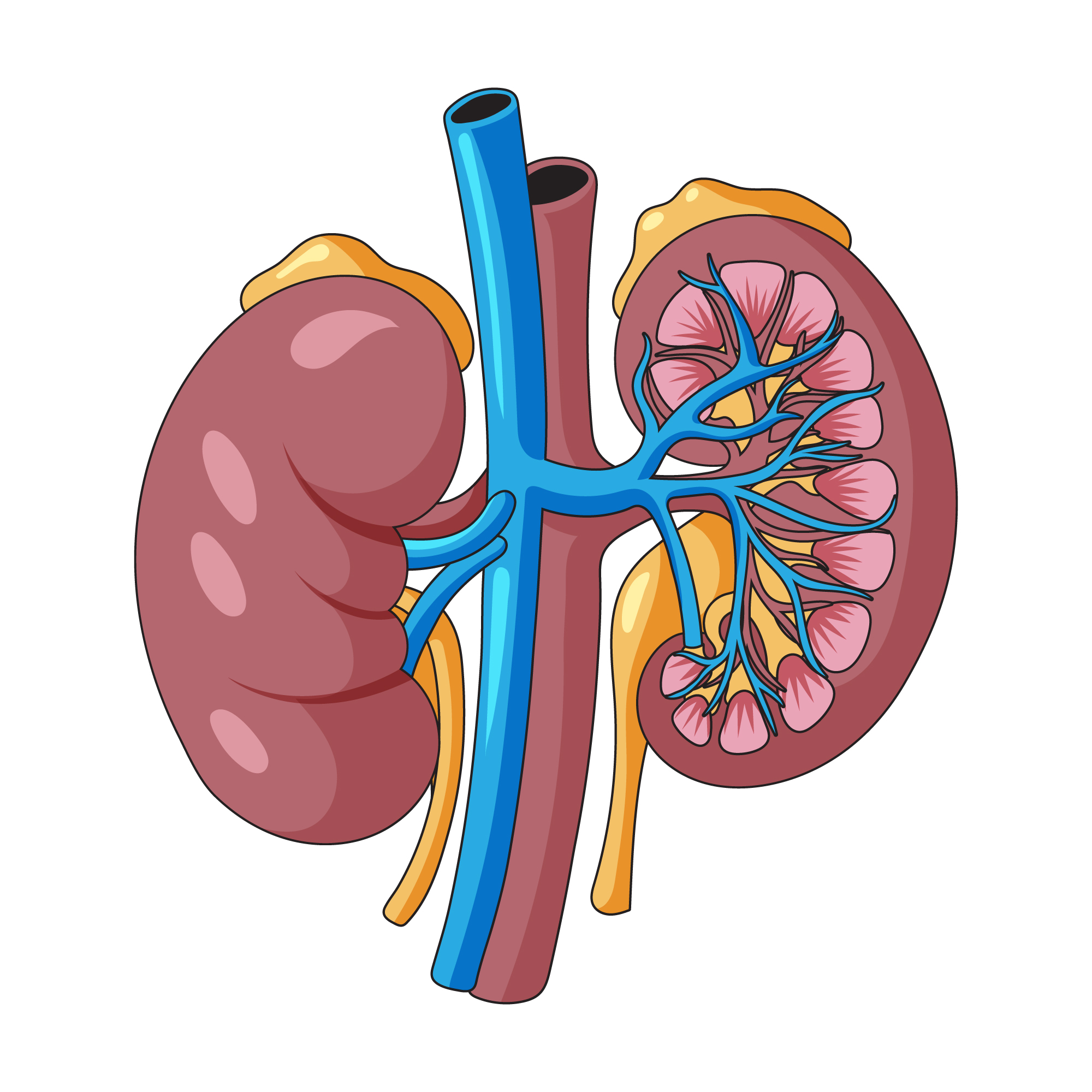 Best nephrologist in Kalyan reviewing dialysis treatment plan